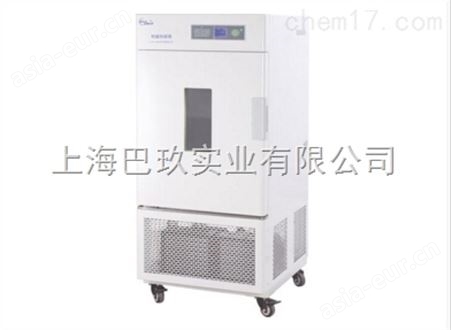 恒温恒湿箱（简易型）LHS-250SC生产厂家