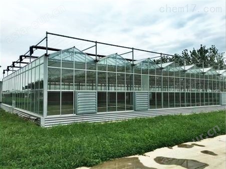 玻璃温室生产
